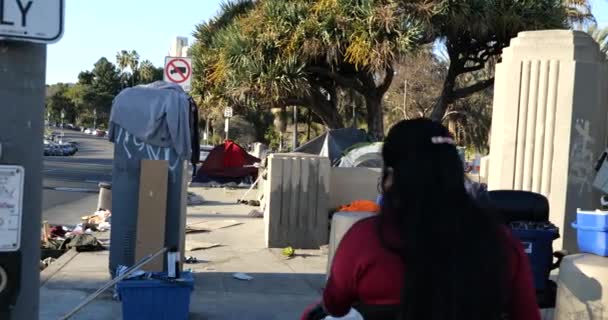 2021年1月27日 美国加利福尼亚州洛杉矶 洛杉矶麦克阿瑟公园人行道上的一个无家可归者营地 — 图库视频影像