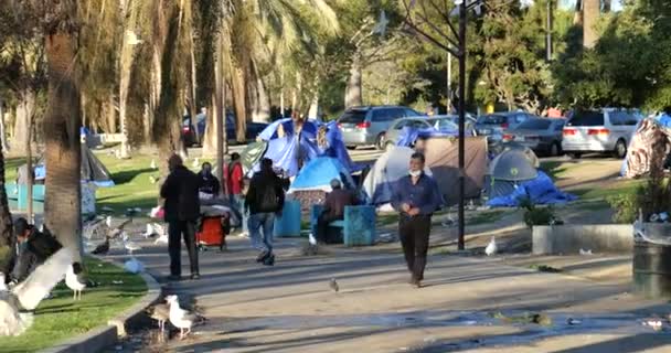 Los Angeles Usa Januari 2021 Een Daklozenkamp Verspreid Door Macarthur — Stockvideo