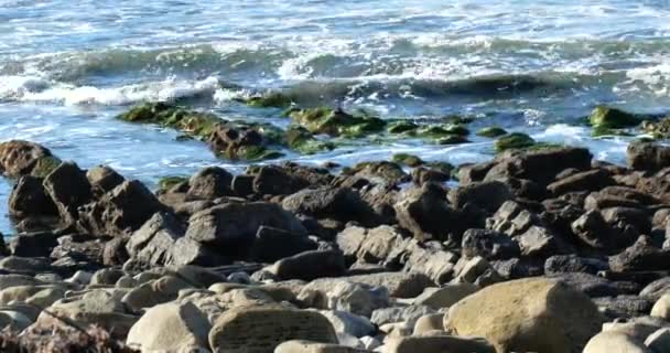 Moss Cobriu Rochas Longo Uma Costa Rochosa Oceano Pacífico — Vídeo de Stock