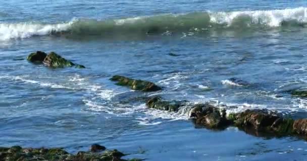 Тихоокеанские Волны Устремляющиеся Бассейны Приливов Береговой Линии Курорта — стоковое видео