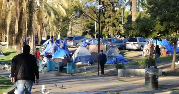 Los Angeles Usa Gennaio 2021 Senzatetto Tende Circondano Percorso Attraverso — Video Stock