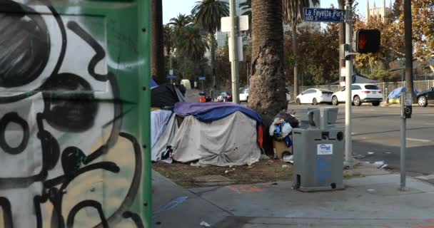 美国加利福尼亚州洛杉矶 2020年12月29日 洛杉矶麦克阿瑟公园的一条小路被一群无家可归的人和帐篷环绕 — 图库视频影像