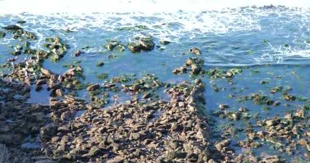 Wysoki Kąt Widzenia Fal Zalewających Baseny Pływowe Skalistym Wybrzeżu — Wideo stockowe