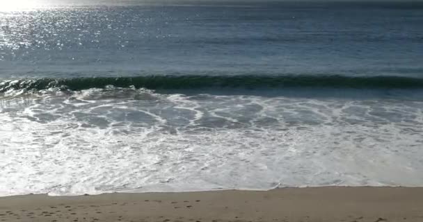 Pan Shot Wave Breaking Shoreline Tropical Resort — Stock Video