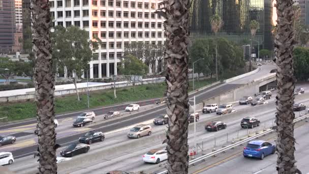 Autostrada Harbor Los Angeles Widziana Przez Palmy — Wideo stockowe