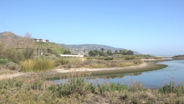 Der Wunderschöne Malibu Lagoon State Beach Mit Einer Brücke Über — Stockvideo