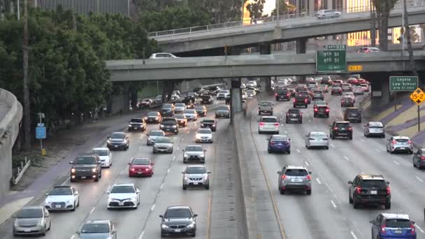 Tráfico Autopista Del Puerto Centro Los Ángeles — Vídeo de stock