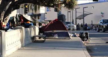 Los Angeles, CA USA - 27 Ocak 2021: MacArthur parkındaki kaldırım kenarındaki evsiz kampı