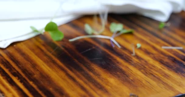Micro Verts Frais Sains Tombant Sur Comptoir Bois — Video