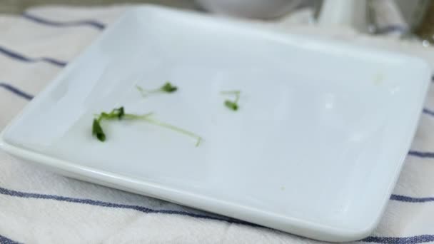 Fresh Healthy Organic Micro Greens Falling Plate — Stock Video