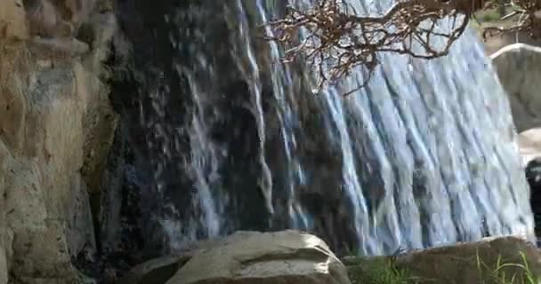 荒野公園の美しい滝の近くに — ストック動画