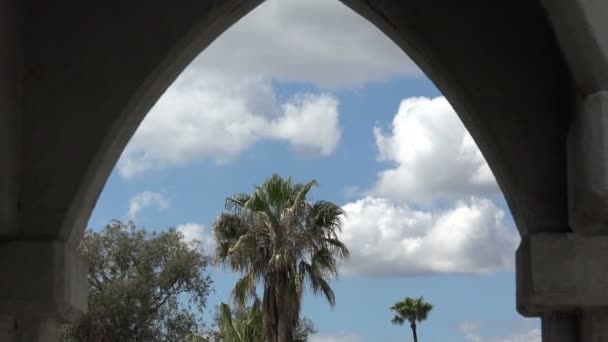 Palm Trees Clouds Framed Stone Arch — Stock Video