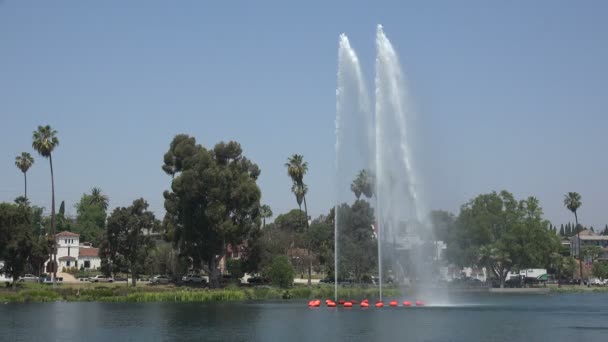 Prachtige Fontein Het Meer Bij Echo Park Los Angeles — Stockvideo