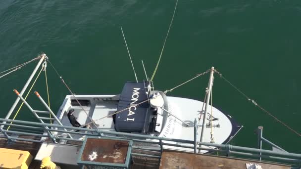 サンタモニカ Usa 2020年1月31日 サンタモニカ港警察がサンタモニカ桟橋でボートをドッキング — ストック動画