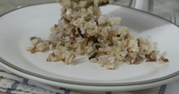 Cuchara Arroz Pilaf Plato Pequeño Cámara Lenta — Vídeo de stock