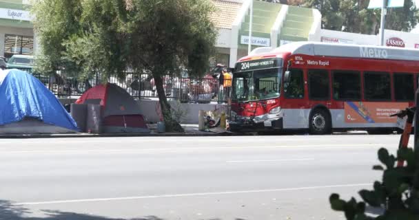 Los Angeles Usa August 2021 Homeless Encampment Bus Stop Shopping — Stock Video