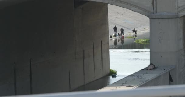 Gente Disfrutando Las Orillas Del Río Más Allá Puente Hormigón — Vídeo de stock