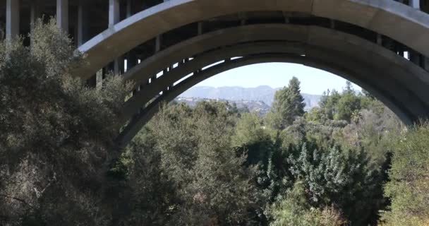 Forest Trees Arroyo Colorado Street Bridge Pasadena California — Stock Video