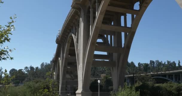 Pasadena California Daki Colorado Köprüsü Nün Altında Kır Çiçekleri Yetişiyor — Stok video