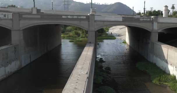 Vegetación Creciendo Las Esclusas Del Río Bajo Puente — Vídeos de Stock