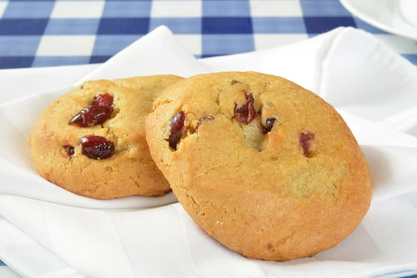 Gourmet cookies — Stock Photo, Image