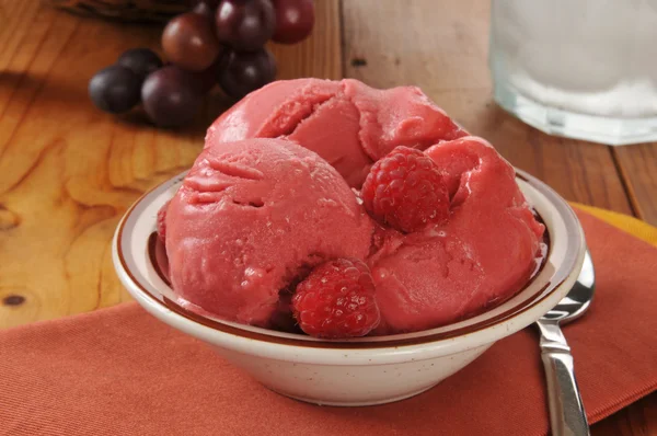 Raspberry sherbet — Stock Photo, Image