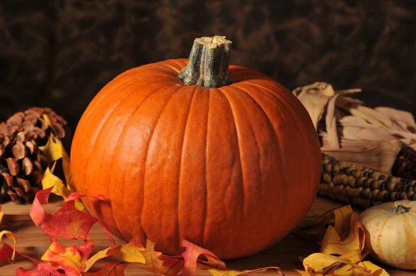 Holiay pumpkin — Stock Photo, Image