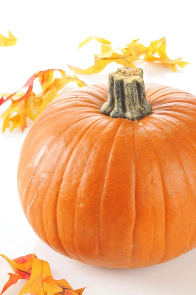 Pumpkin with autumn leaves — Stock Photo, Image