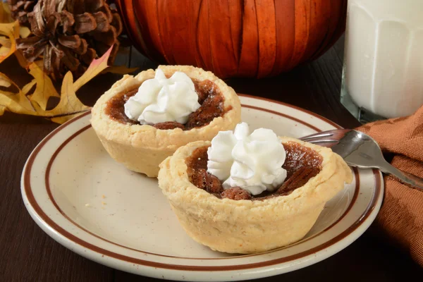 Mini pecan pajer — Stockfoto