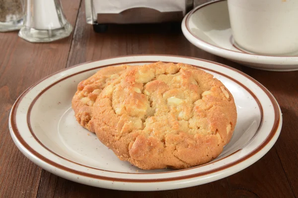 Macadamia nut cookies — Stock Photo, Image