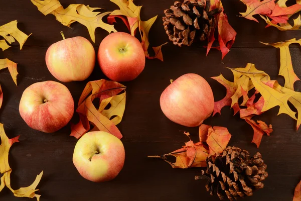 Harvest apples from above Stock Picture