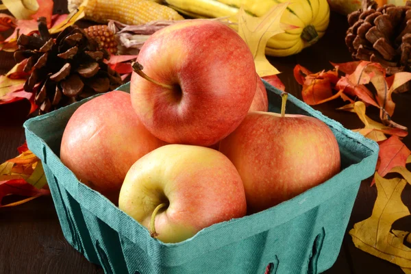 Zbiory jabłek — Zdjęcie stockowe