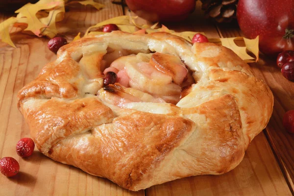 Galette de maçã Cranberry — Fotografia de Stock