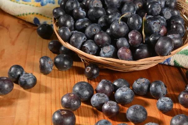 Basket of fresh blueberries — Stock Photo, Image