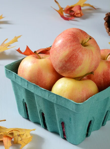 Ripe gala apples — Stock Photo, Image