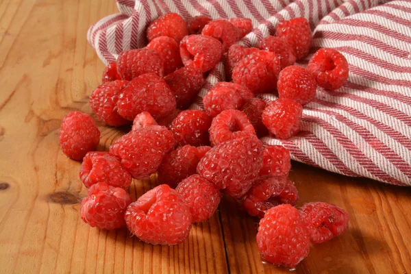 Ripe organic raspberries — Stock Photo, Image