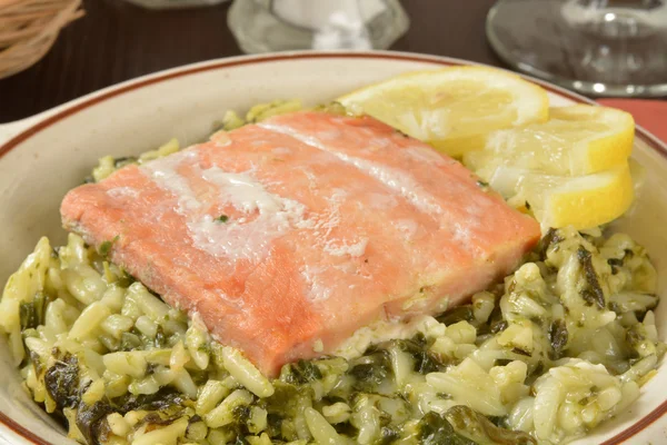 Wile salmon fillet — Stock Photo, Image