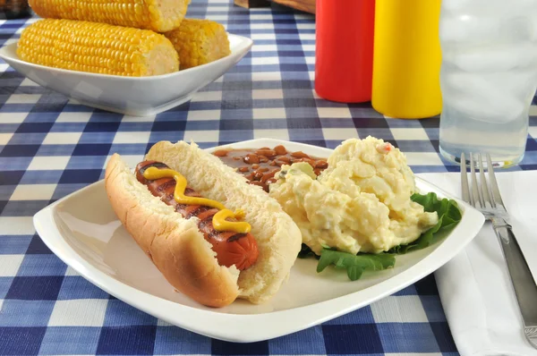 Grilled mustard dog — Stock Photo, Image