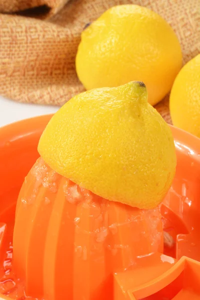 Taze limon meyve sıkacağı — Stok fotoğraf