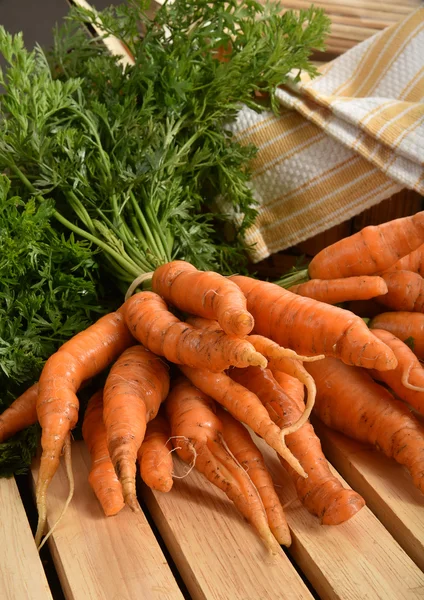 Fresh baby carrots — Stock Photo, Image