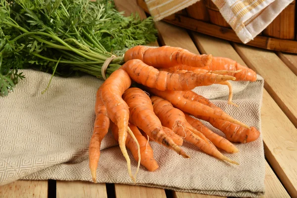 Органические детские морковки — стоковое фото