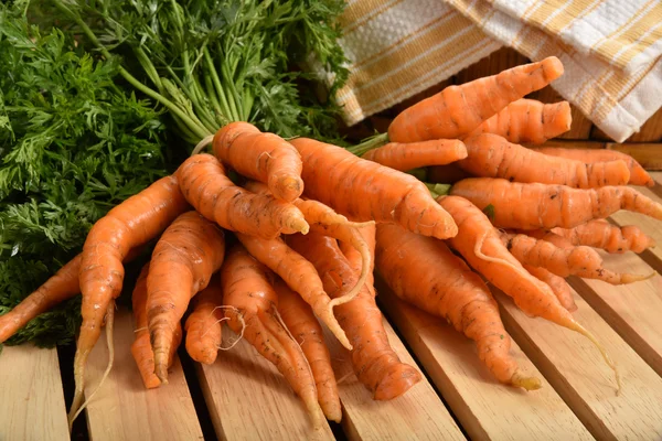 Bunches of fresh carrots — Stock Photo, Image