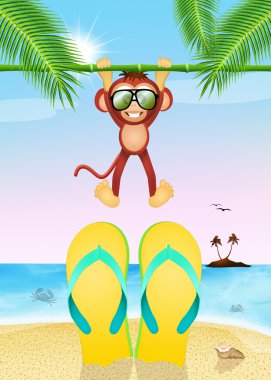 Sahilde parmak arası terlikler.