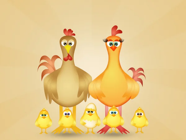 Familia de pollos —  Fotos de Stock