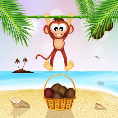 maymunlar ve hindistancevizi sahilde