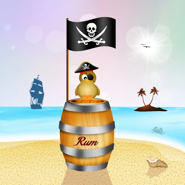 Oiseau pirate sur baril de rhum — Photo