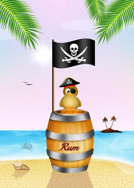 Pássaro pirata em barril de rum — Fotografia de Stock