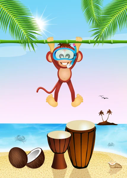 Funny monkey and drums — Stock Photo, Image