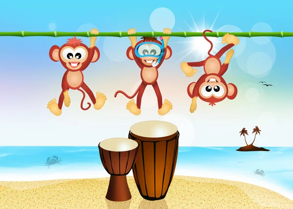 Monkeys and drums on the beach — Stock Photo, Image