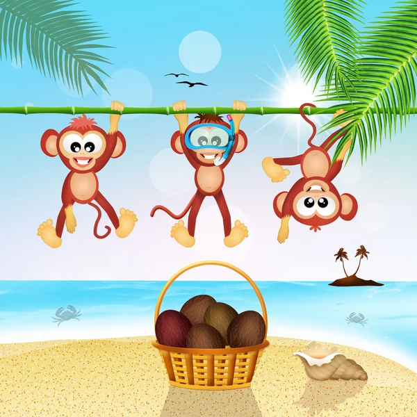 Affen und Kokosnüsse — Stockfoto